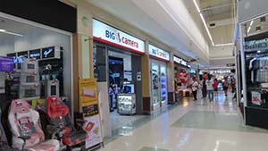 NbNĊg
